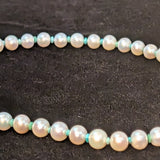 Freshwater Pearl and Turquoise Necklace