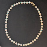 Freshwater Pearl and Turquoise Necklace